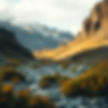Magnificent Green Patagonia: An In-Depth Exploration of Sustainable Practices in Extreme Sports