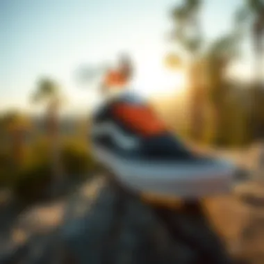 Magnificent The Appeal of Affordable Vans Shoes in Extreme Sports Magnificent The Appeal of Affordable Vans Shoes in Extreme Sports