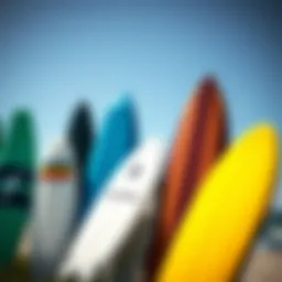 A variety of surfboard shapes representing different styles