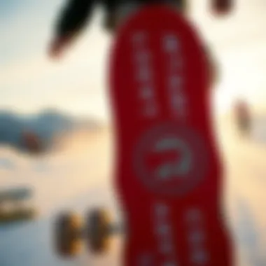 A Comprehensive Guide to Selecting the Right Longboard Summary A Comprehensive Guide to Selecting the Right Longboard Summary