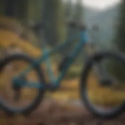 A hardtail mountain bike on a scenic trail