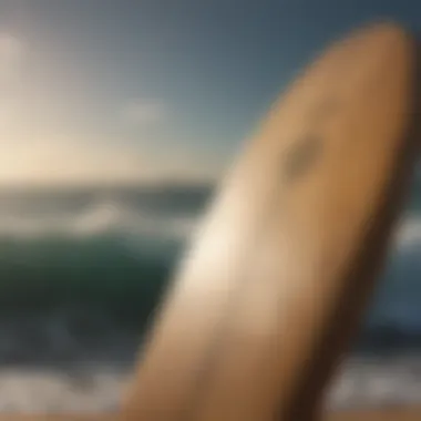 The Evolution of Surfing Boards A historical surfing board representing the evolution of surfing technology