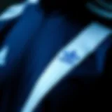 Historical representation of Adidas blue stripes