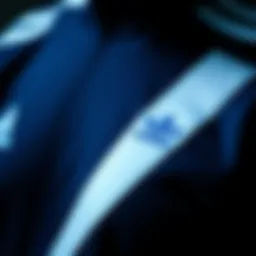 Historical representation of Adidas blue stripes