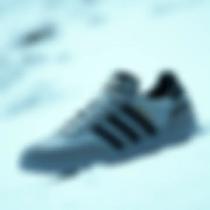 Adidas with Black Stripes: A Comprehensive Exploration Summary