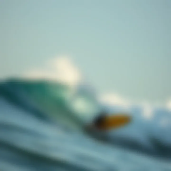 Essential Maintenance for Longevity Maintenance tools and tips for boogie boards