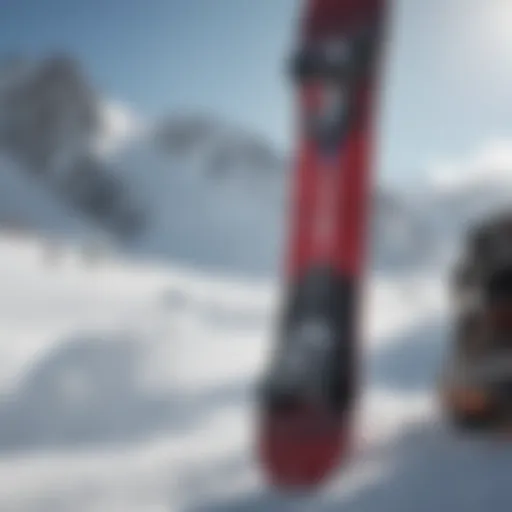 Close-up of various snowboard types showcasing their features