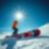 All-Mountain Snowboard Versatility Cutting-edge all-mountain snowboard showcasing versatility