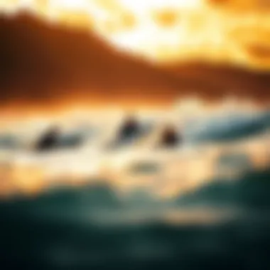 A group of beginners practicing surfing on soft waves