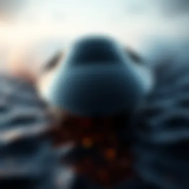 The sleek design of the Billabong Furnace highlighting its aerodynamic features