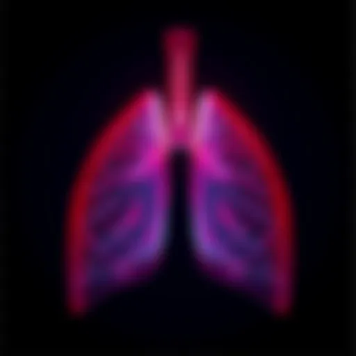 Anatomical diagram of the lungs