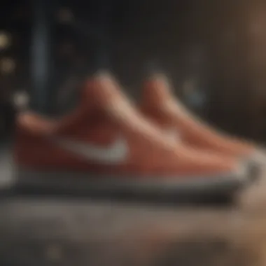 Seasonal Discounts on Nike Skate Shoes Seasonal discounts on Nike skate shoes