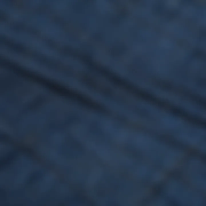 Close-up of fabric texture and stitching details of a royal blue tank top