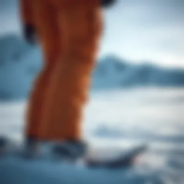 Quality Brands in Snowboard Pants Market Top brands for snowboard pants highlighted