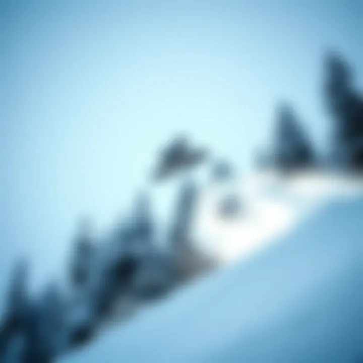 A dynamic snapshot of a snowboarder performing a trick mid-air