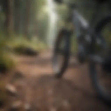 Sustainable materials for trail construction displayed
