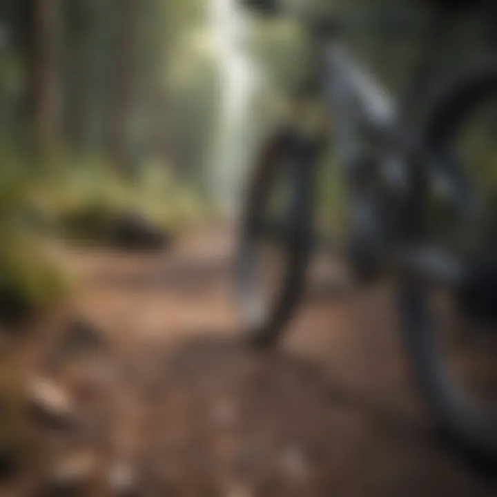 Sustainable materials for trail construction displayed