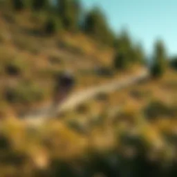 Scenic view of a natural landscape ideal for bike trail