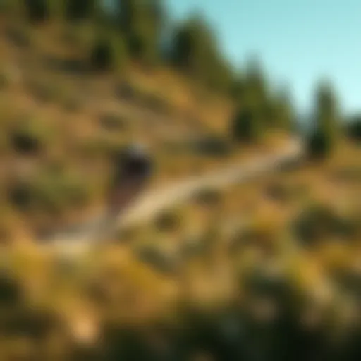Scenic view of a natural landscape ideal for bike trail