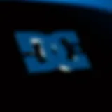 DC Shoes logo showcasing its brand identity