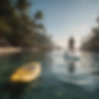 A scenic beach with varying water conditions for paddle boarding.