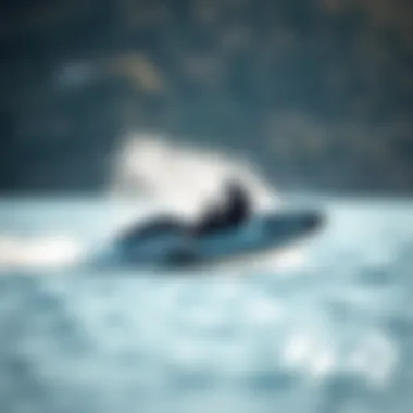 Electric Jet Body Boards: The Next Wave of Aquatic Adventure Summary
