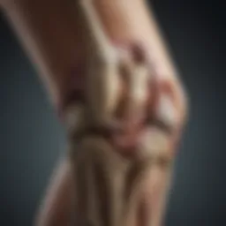 Anatomical diagram of the knee joint showcasing ligaments and muscles