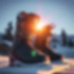 Detailed design of snowboard boots highlighting unique features