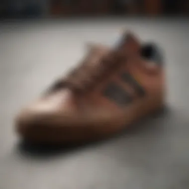 Maintenance Tips for Longevity of adidas Matchcourt Tips for maintaining adidas Matchcourt skate shoes displayed on a clean surface.
