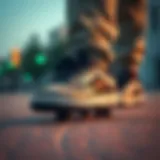 Exploring Affordable Options in Men's Skate Shoes Introduction
