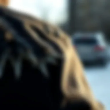 Close-up of the fur detailing on a black jean jacket.