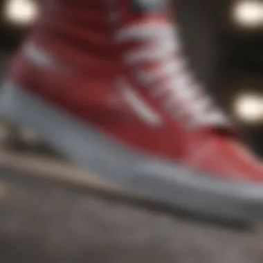 Close-up of Cherry Vans High Top detailing and materials.