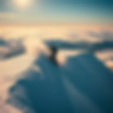 Exploring Deck Shapes in Extreme Sports Summary