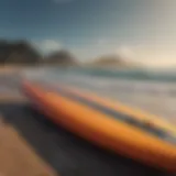 A collection of various surfboard types showcasing unique designs