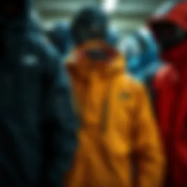 Top Budget-Friendly Jackets for Extreme Sports Array of budget-friendly jackets from top brands displayed together