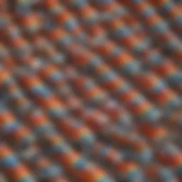 Vibrant rainbow checkered Vans showcasing unique patterns