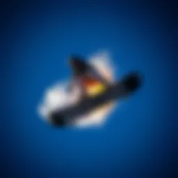 Exploring Renowned Skimboard Brands Introduction