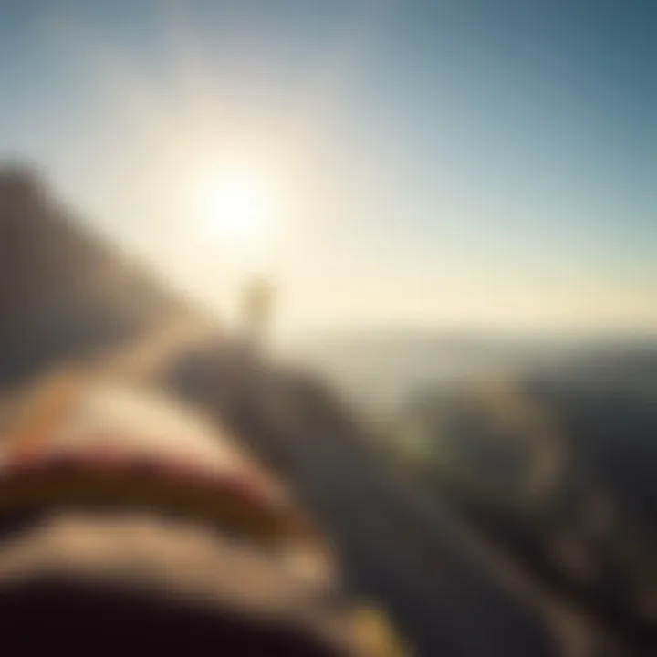 Exploring Roxy Billie: A Journey Through the Extreme Sports Landscape Summary