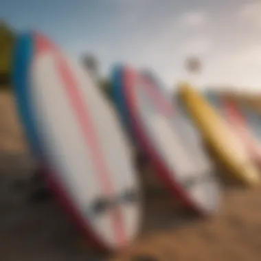 Colorful surfboards lined up on the beach in San Juan