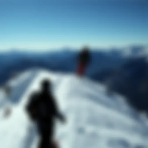 Exploring the Dynamics of Converse, Run, and Hike Platforms in Extreme Sports Introduction