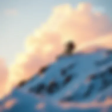 Notable Exploring the Dynamics of Converse, Run, and Hike Platforms in Extreme Sports Notable Exploring the Dynamics of Converse, Run, and Hike Platforms in Extreme Sports