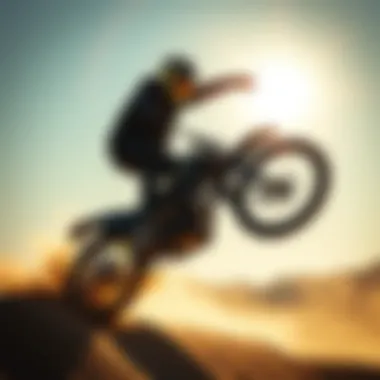 Notable Exploring the Dynamics of Diamond Supply Company in Extreme Sports