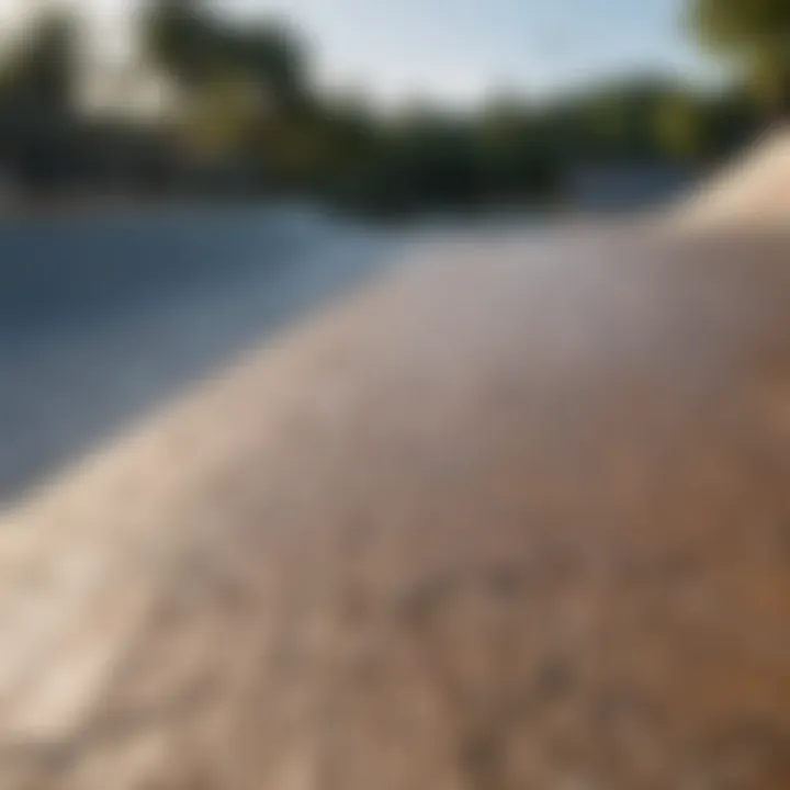 Wide view of a gator skin ramp in a skate park environment