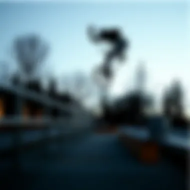 Exploring the Impact of Vans Plat Skool in Extreme Sports Culture Summary Exploring the Impact of Vans Plat Skool in Extreme Sports Culture Summary