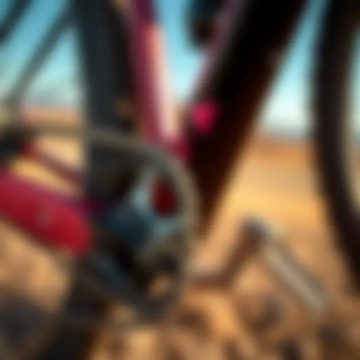 Chain Compatibility with Mountain Bike Models Close-up of chain compatibility with various mountain bike models.