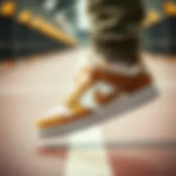 Exploring the Nike Dunk Low Oat: A Comprehensive Analysis Introduction
