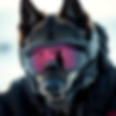 Notable Exploring the Oakley Batwolf: A Comprehensive Guide for Enthusiasts Notable Exploring the Oakley Batwolf: A Comprehensive Guide for Enthusiasts