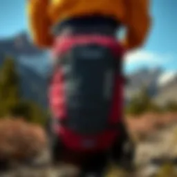 A scenic view showcasing the Patagonia 26L pack against a mountainous backdrop