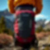 Patagonia 26L in Nature A scenic view showcasing the Patagonia 26L pack against a mountainous backdrop