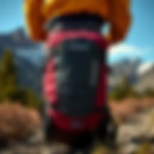 Patagonia 26L in Nature A scenic view showcasing the Patagonia 26L pack against a mountainous backdrop